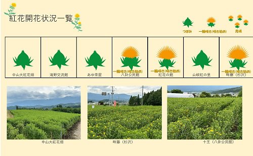 ����5ǯ�ٹȲ�Ȫ���ְ���������