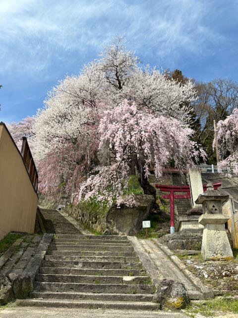 餵顧