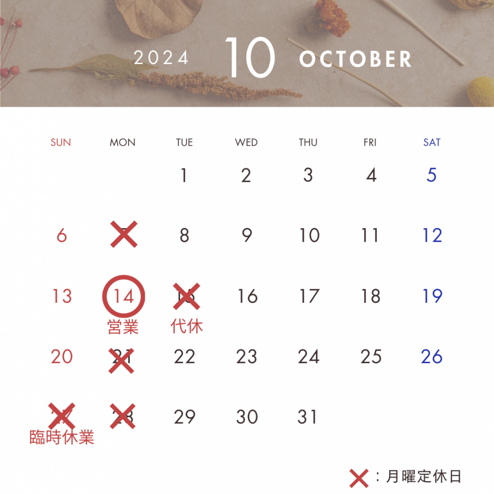 10��Ķ�����������������