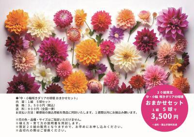 20ȸ桦غ餭ꥢε庬 ޤåȡ