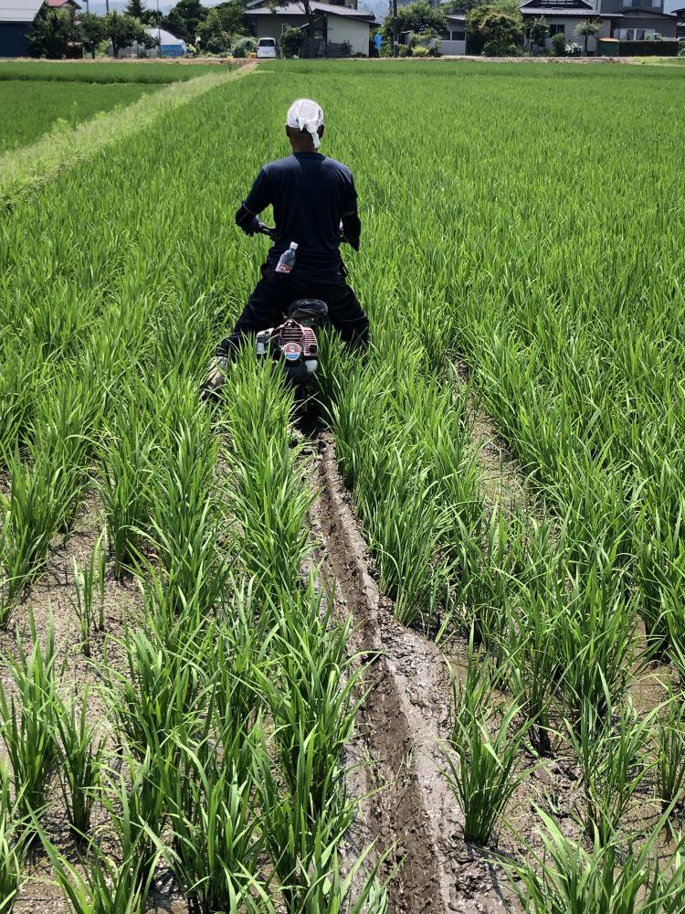 ���ڤ��桧����