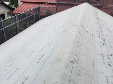 �����Ķ⹩�����ɿ�ƺ���������