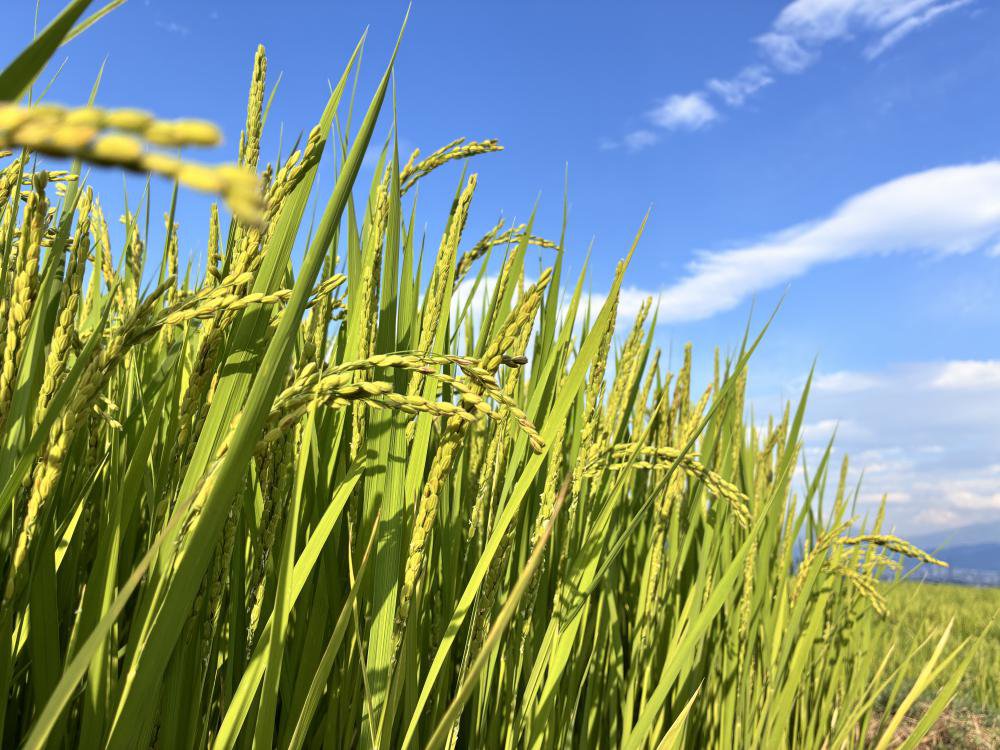 ���褤��Ƥ⽪�פˡš���������