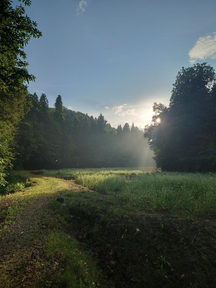 ���夬�ꡧ����