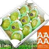 ����7ǯ�٥顦�ե��ͽ����ʸ�γ��ϻ����ˤĤ��ơ�����