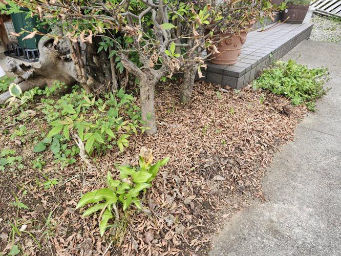 �����������ʎߎ��ĭ�������