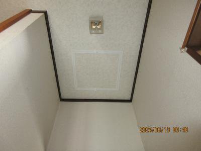 ŷ�����������ա�����