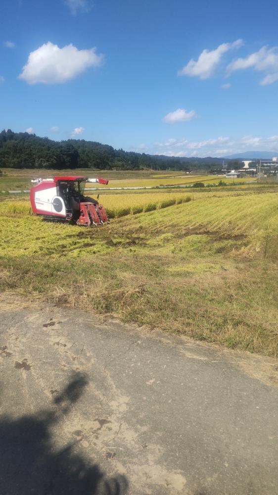 �𴢤�򤷤Ƥ��ޤ���������