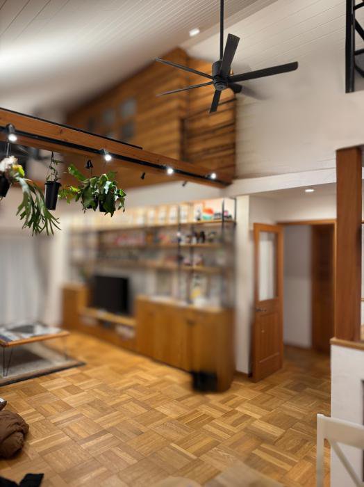 �Τ�礤�η�ʪ���ء�����