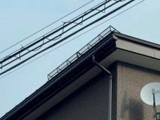 ��ߤṩ��������