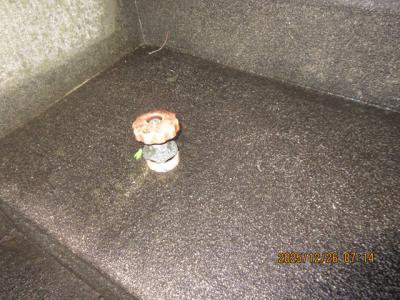 �ޤʿ�ϳ��ˤ��б��Ǥ���褦�ˡ�������