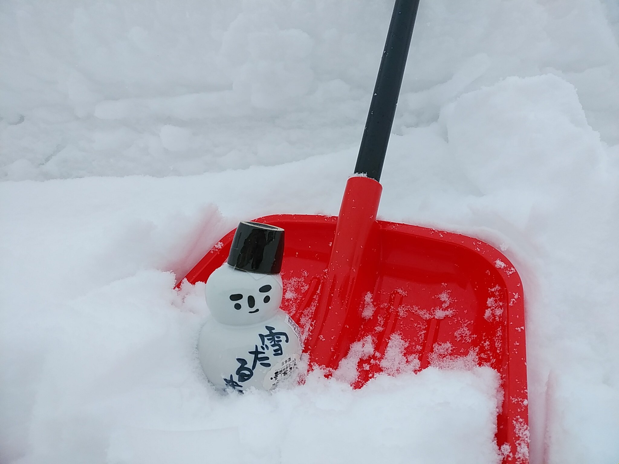 îʿ��¤���������ޡ������ä����򡧲���