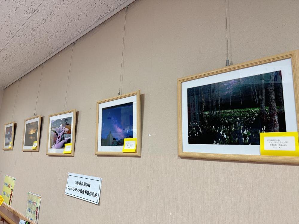 �ָ�̱�ο��ե��ȥ���ƥ��ȡ������ͥ������Ÿ���񡧲���