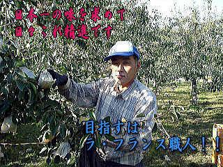 ��������������ܰ����ˤ�ؤ�顦�ե������ʻ�������ȫĮ�˥֥���������