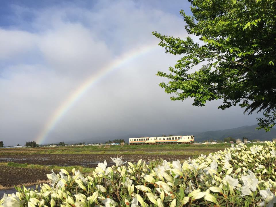 虹とつつじ、そしてフラワー長井線！：画像