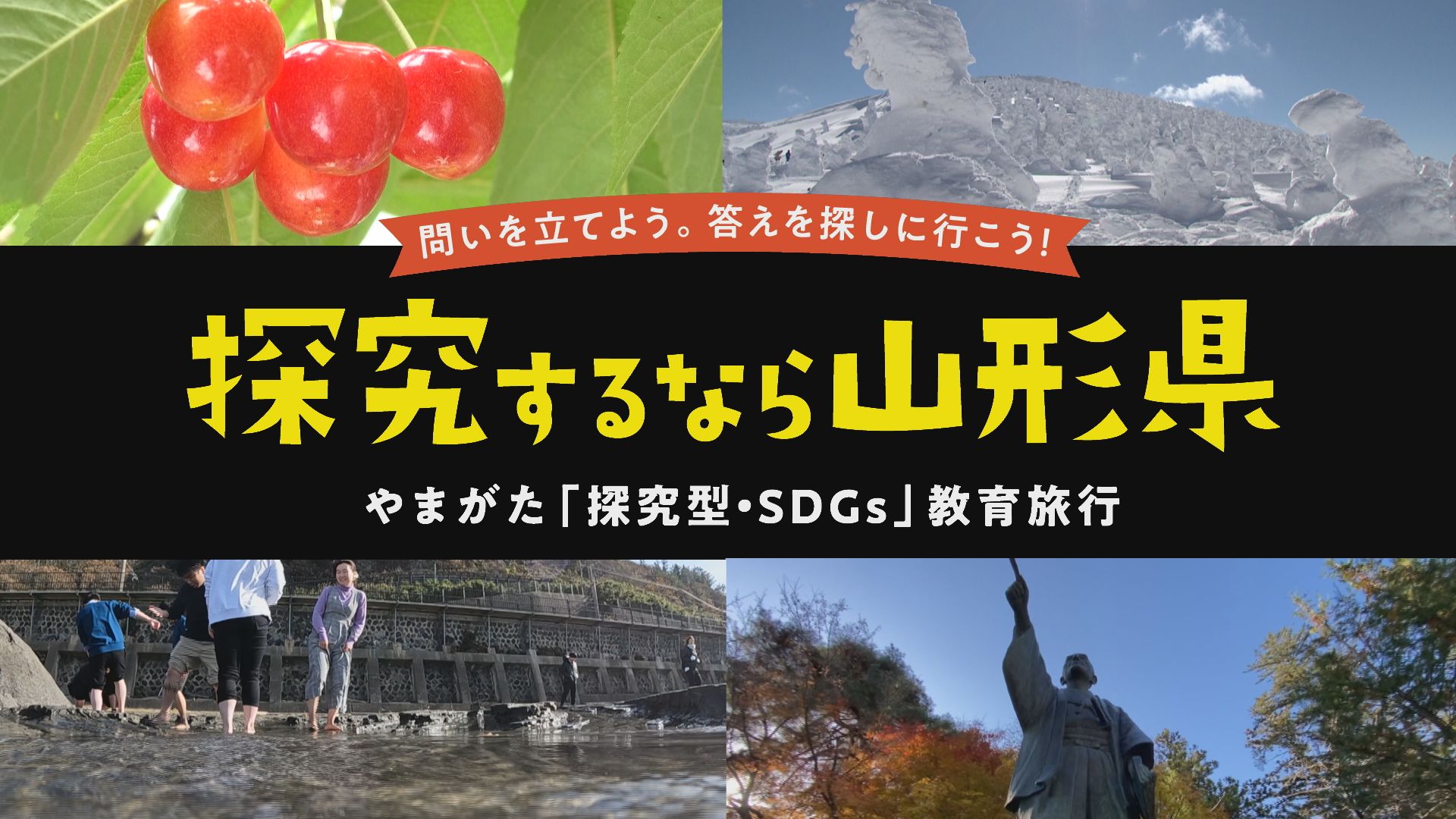 mov_digest.jpg