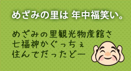 ᤶߤΤǯʡФ