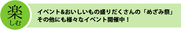 ڤ