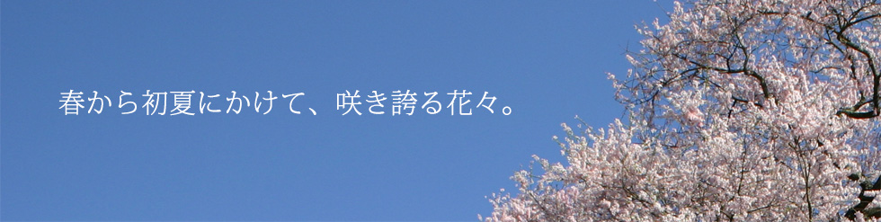 �դ����Ƥˤ����ơ��餭�ؤ�֡���