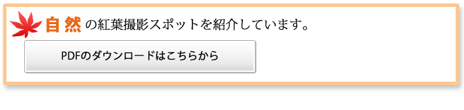 自然の紅葉撮影スポットを紹介しています。 PDFのダウンロードはこちらから
