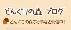 どんぐりの森ブログ
