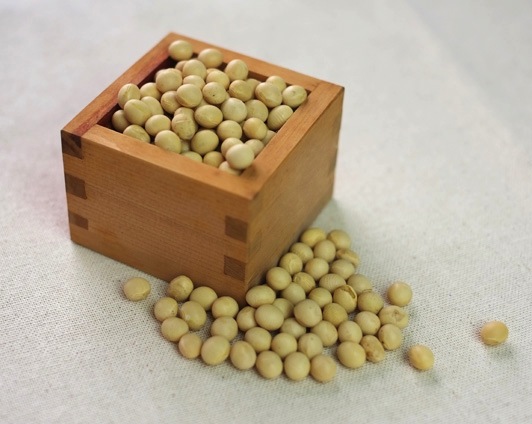 大豆