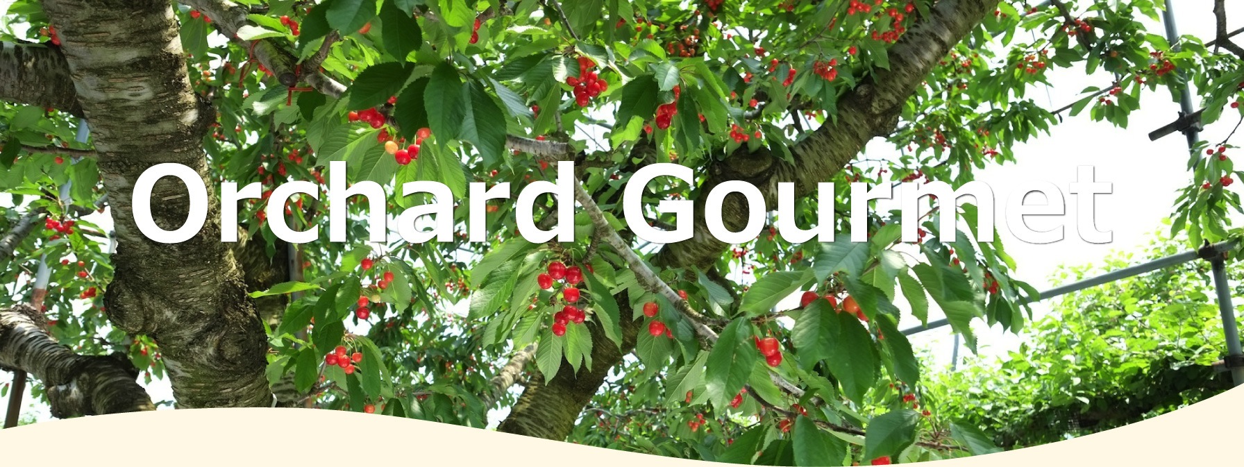 ̼ΥOrchard Gourmet