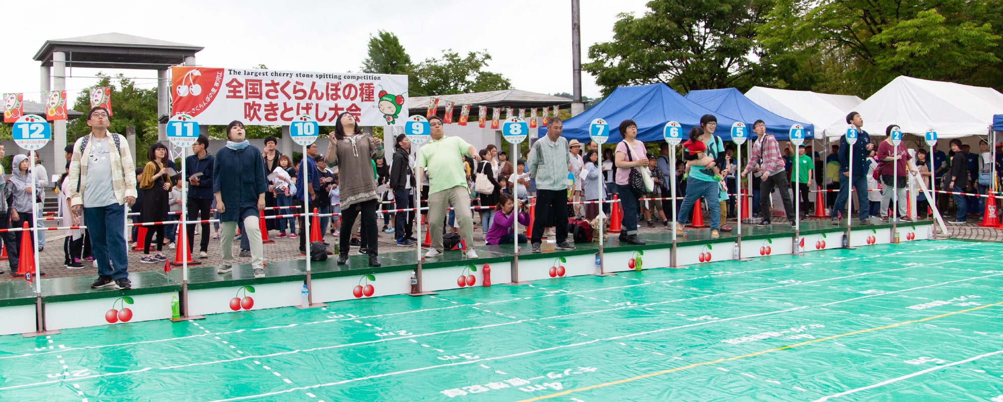 日本一さくらんぼの里さがえ さがえ観光ガイド 寒河江市観光物産協会 日本一さくらんぼの里さがえ さがえ観光ガイド 寒河江市観光物産協会