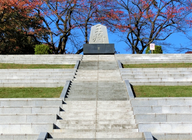 ỳ(ŷƸ)