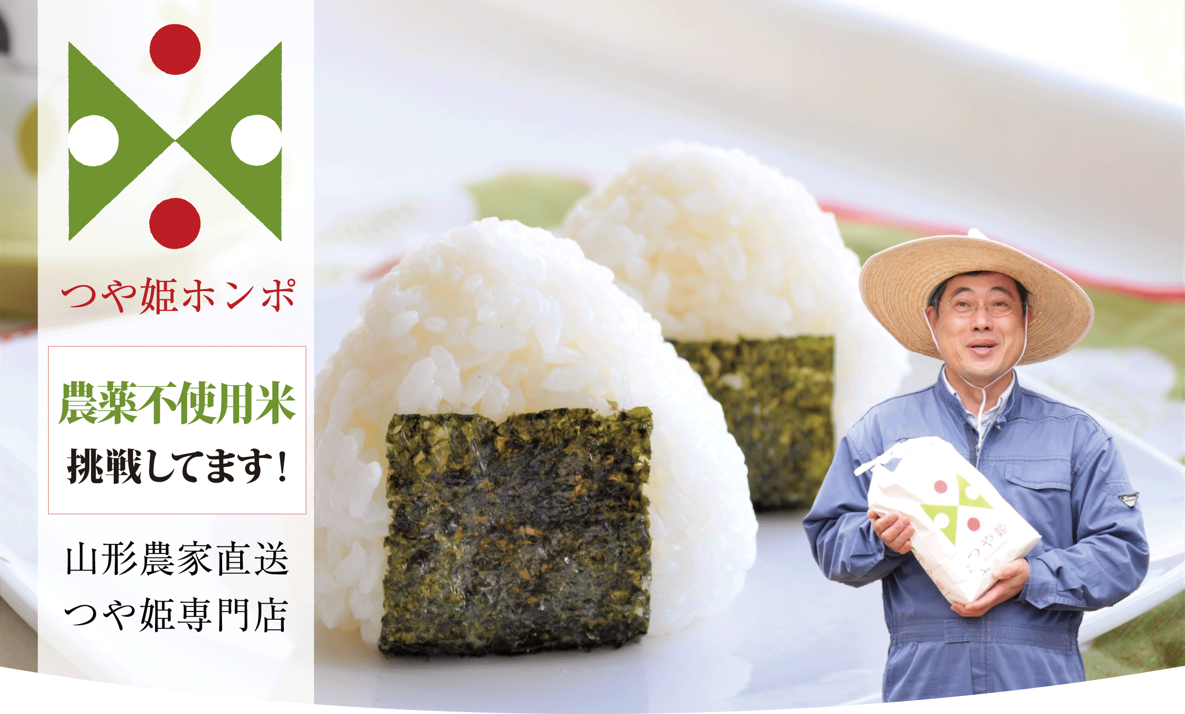 宮城県産　つや姫　農家直送　7/15籾摺 令和6年産】ツヤふわっ！当園人気No.1 つや姫【10kg】宮城県産