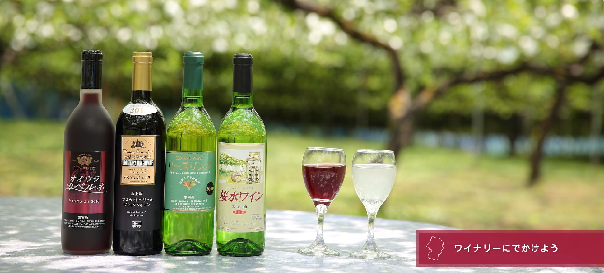 �����Υ磻�ʥ꡼