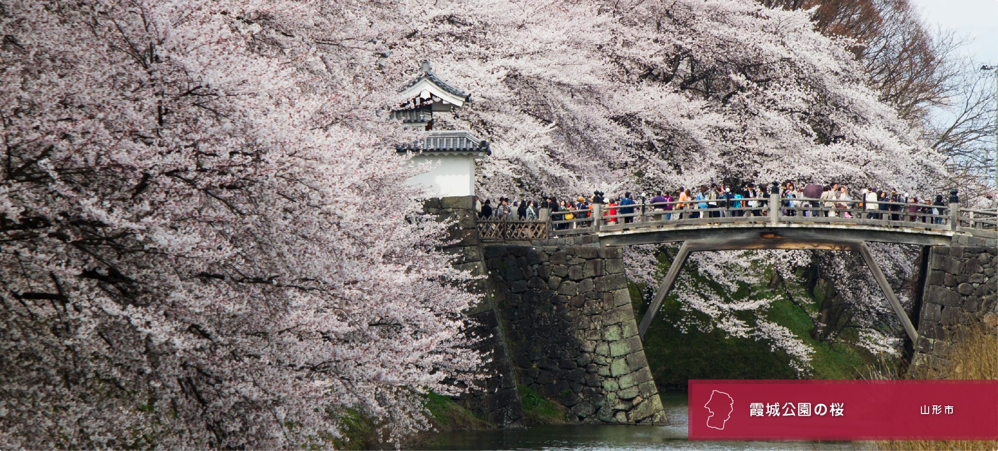 ������κ�