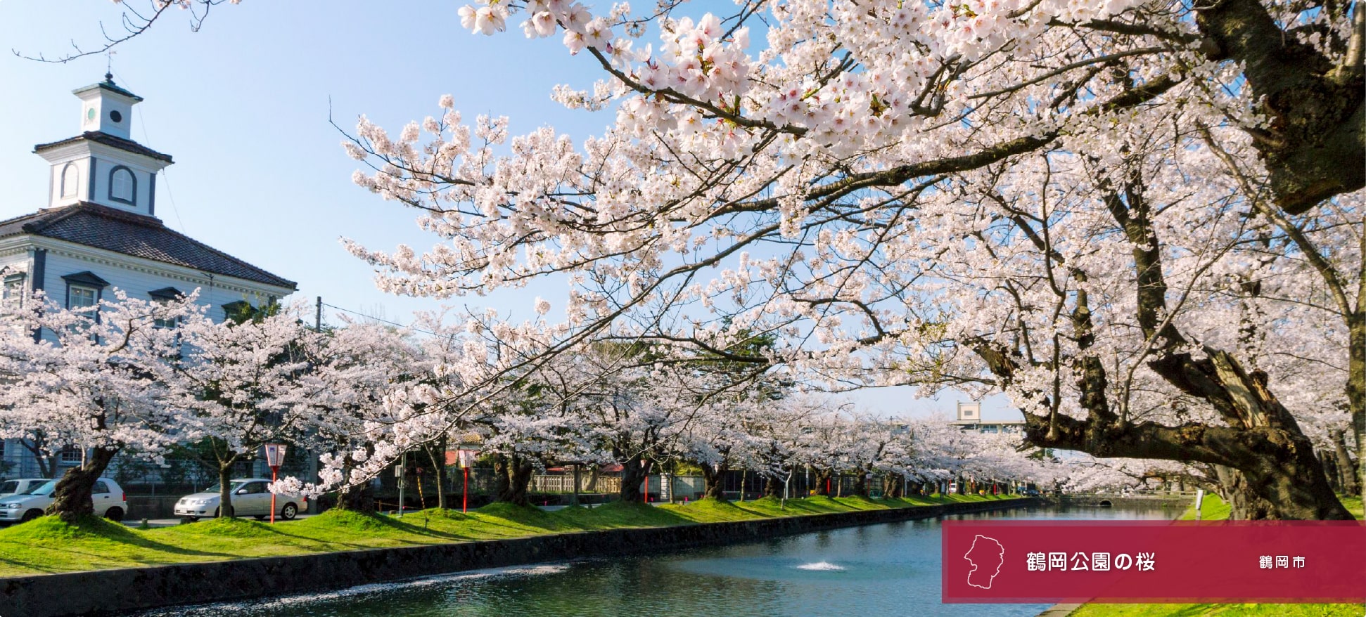 �Წ����κ�