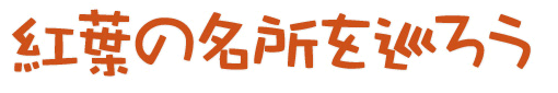 コンテンツのタイトル