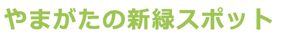 新緑スポット