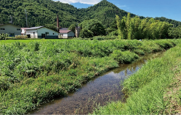 地域の野川