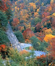 西吾妻スカイバレー 紅葉 やまがたへの旅 山形県観光情報ポータルサイト