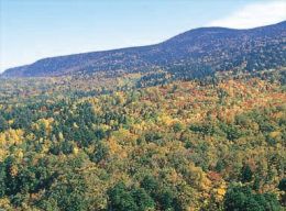 天元台高原 紅葉 山形之旅 山形縣觀光情報入口網站