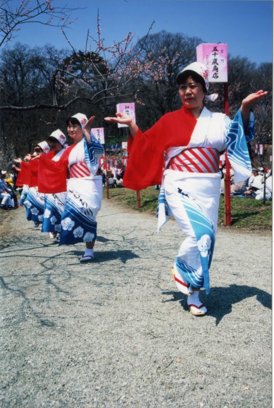 真室川公園 梅林公園 やまがたへの旅 山形県観光情報ポータルサイト