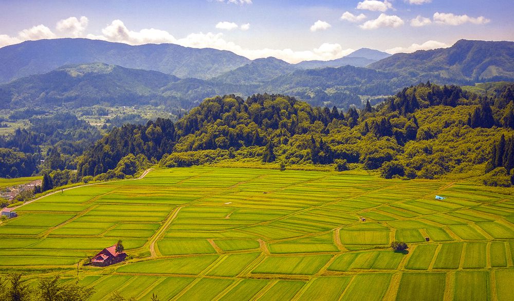 ܻʿ��ê�ġʰ��ܾ������