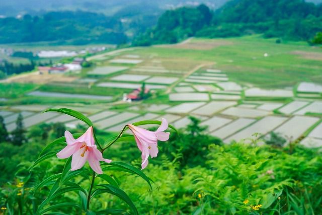 ܻʿ��ê�ġʰ��ܾ������ 2