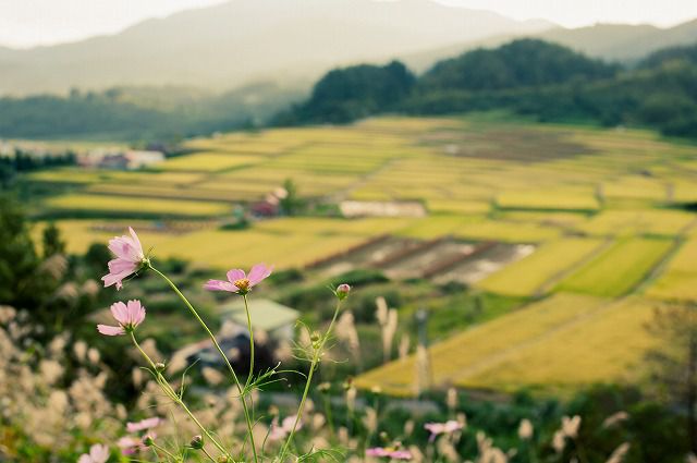 ܻʿ��ê�ġʰ��ܾ������ 4