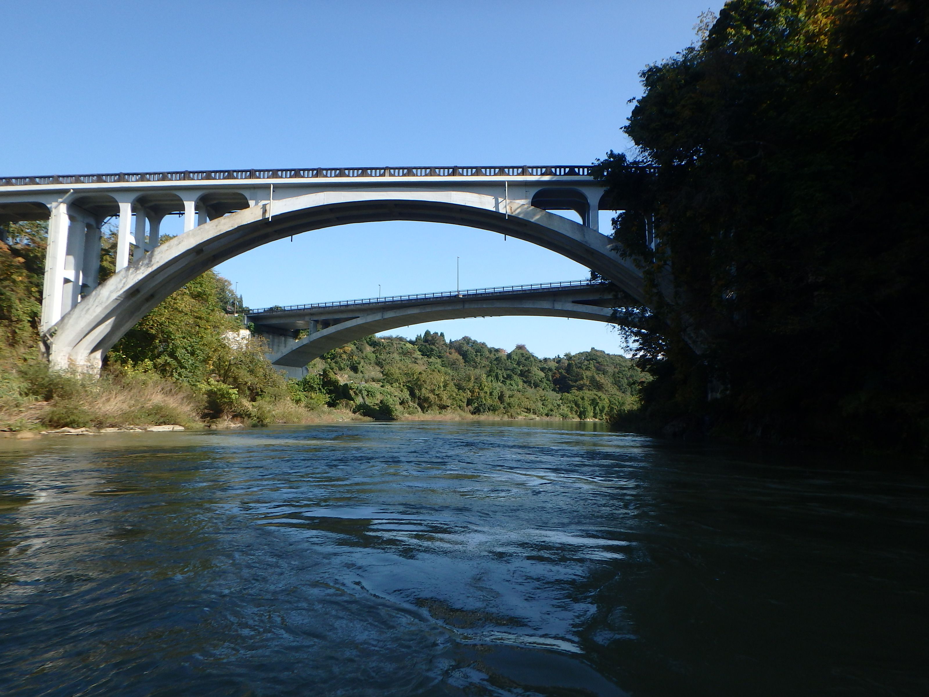 ��եƥ��󥰡��ѥå�����ե��θ�/RUSTICA 3