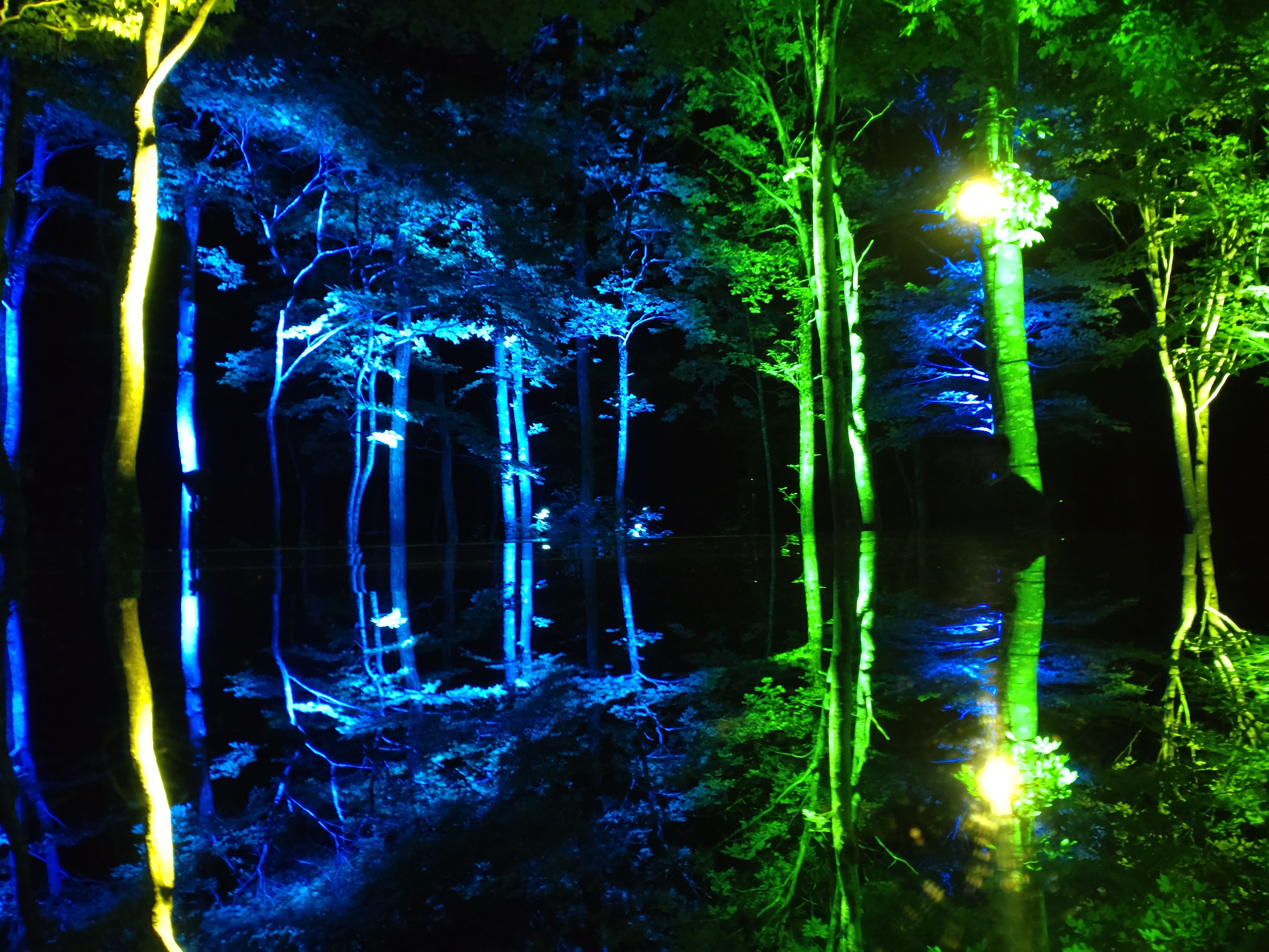 ��2025ǯ6���8��۶������ҥ饤�ȥ��å�