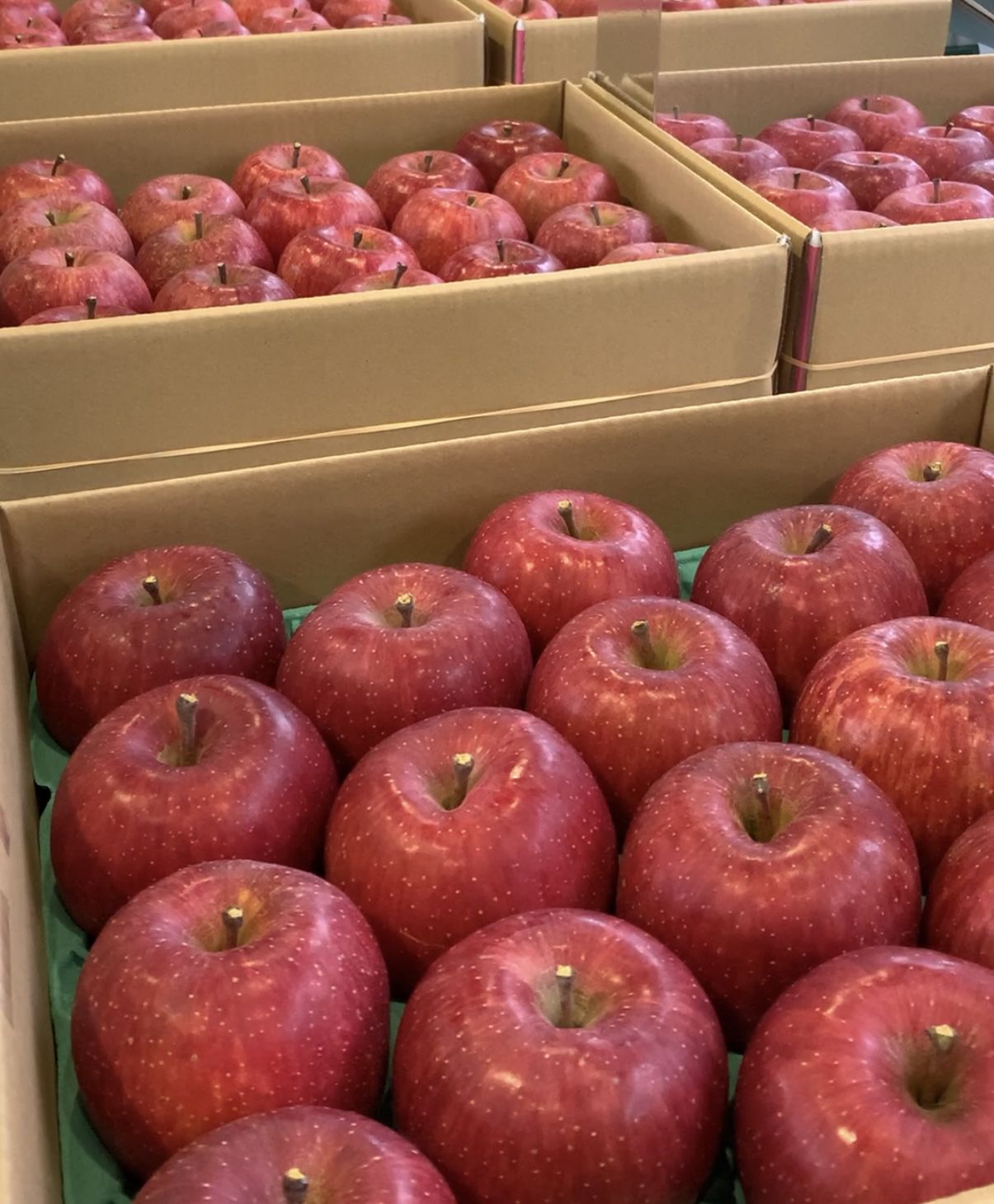 ��11���ī��Į���ȤޤĤ� 2