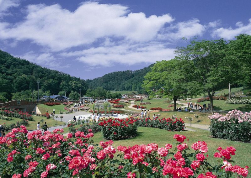 東沢バラ公園 やまがたへの旅 山形県観光情報ポータルサイト