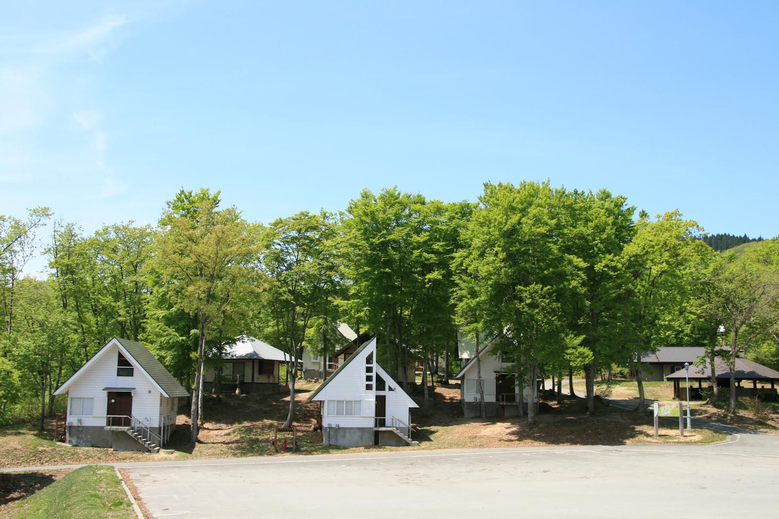 Asahi������(���ơ���)