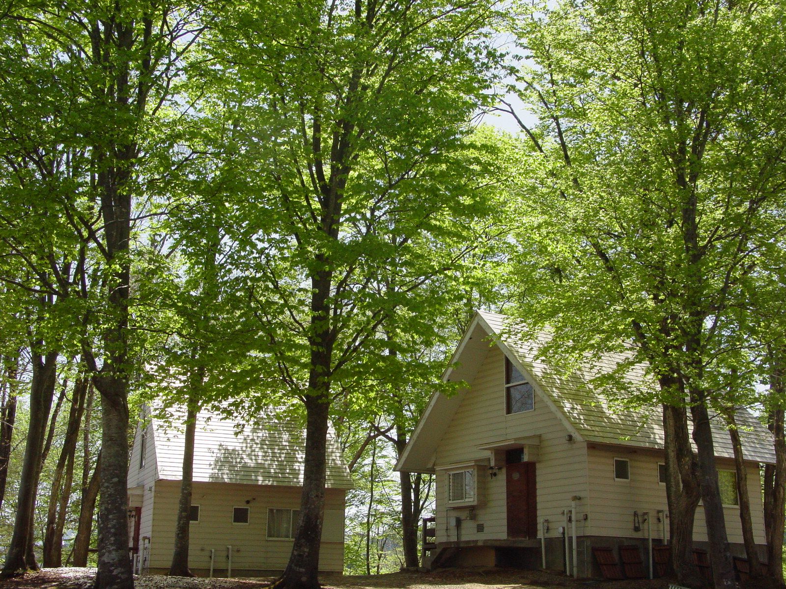 Asahi������(���ơ���) 2