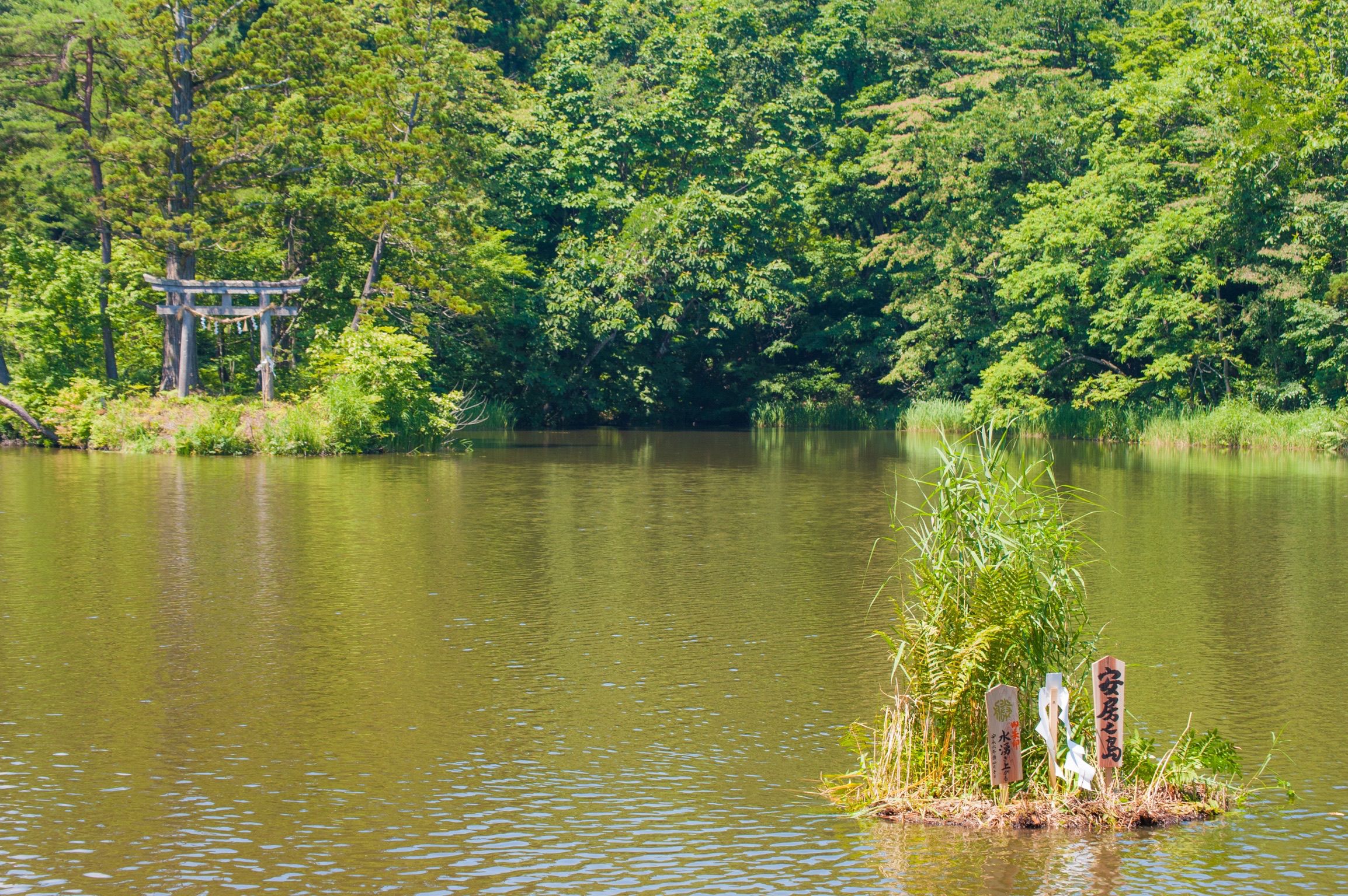 ̾������¤����� 3