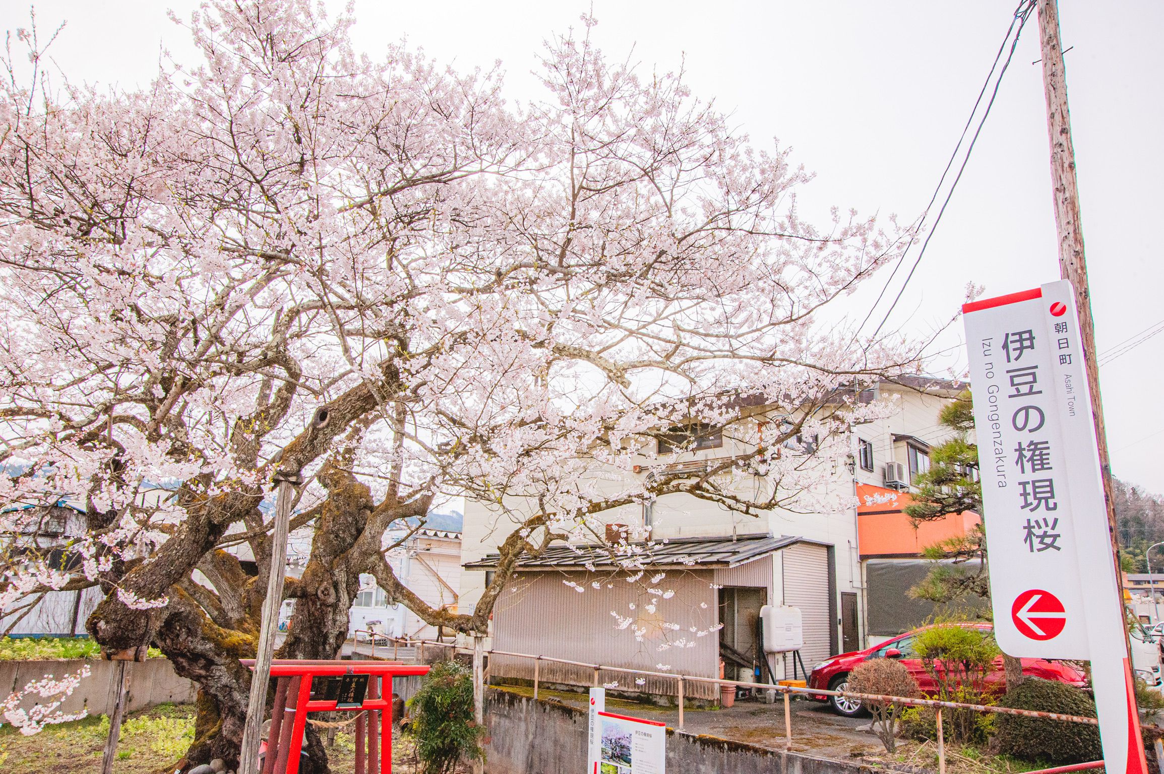 ��Ʀ�θ������ʼ�ޤ�����